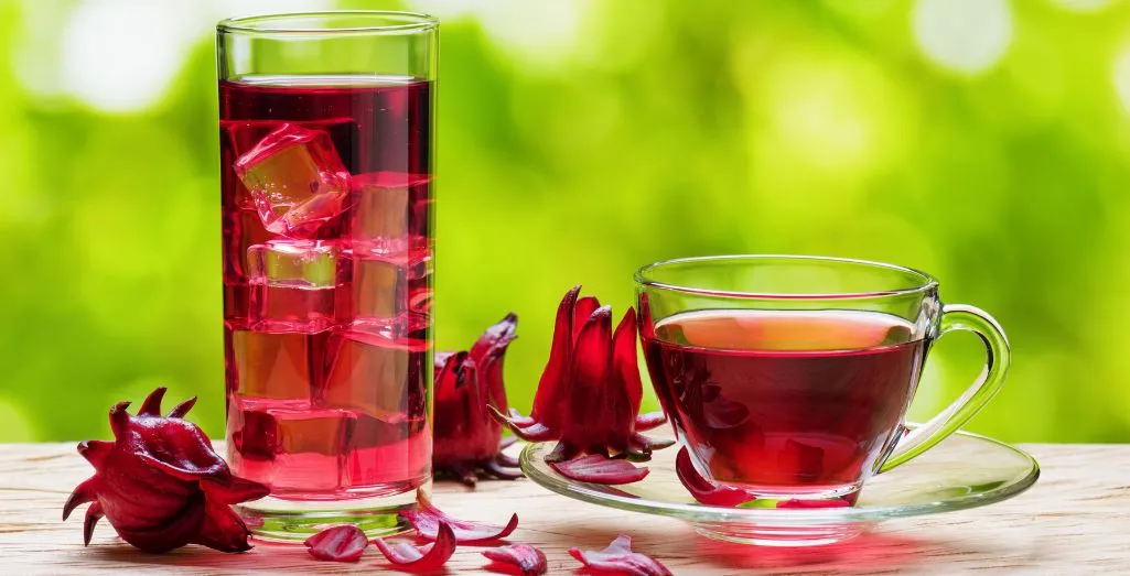 Chá de Hibisco
